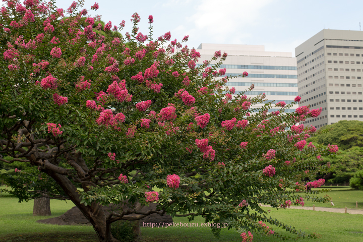 c0210275_22551769.jpg
