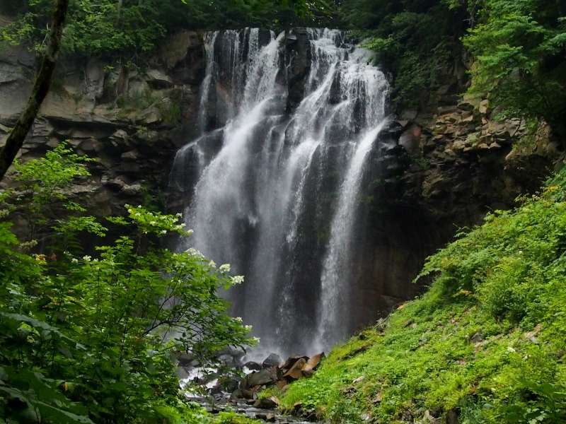 c0183777_1014143.jpg