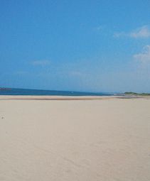 a0170078_1210212.jpg