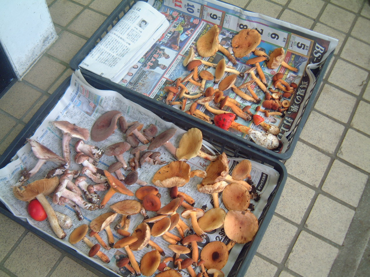 c0237780_12502753.jpg
