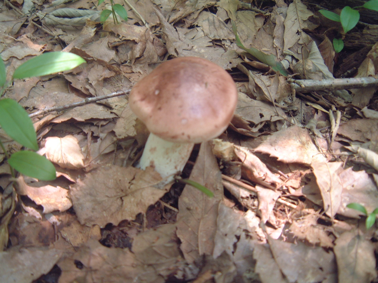 c0237780_20532170.jpg