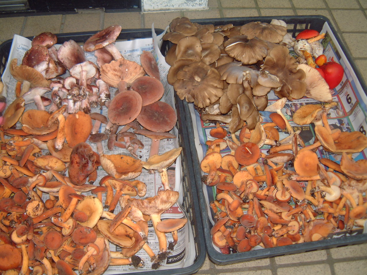 c0237780_20533824.jpg