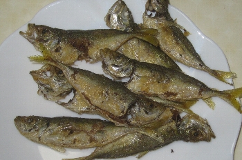 f0003283_19312145.jpg