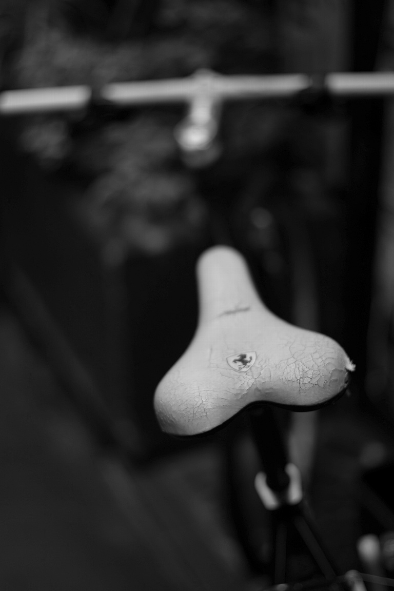 e0025893_885469.jpg