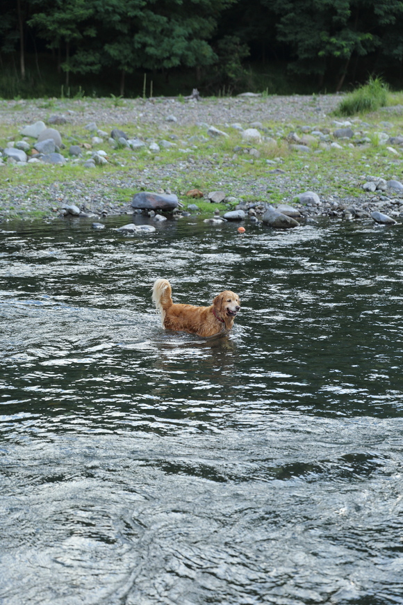 b0275998_9145687.jpg