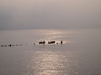 c0187298_21204872.jpg