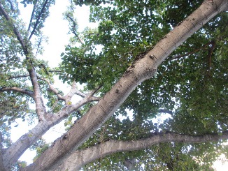 d0091909_12039.jpg