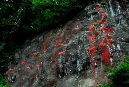 d0180110_2029836.jpg