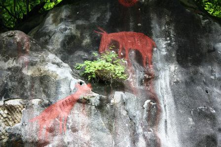 d0180110_20345654.jpg