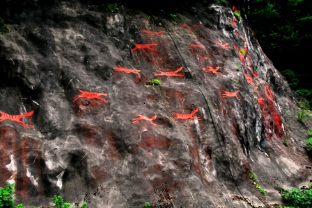 d0180110_20352069.jpg