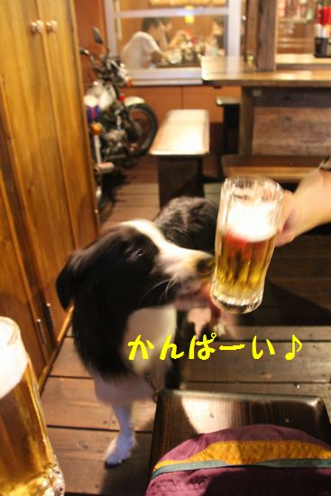 d0224111_21524172.jpg