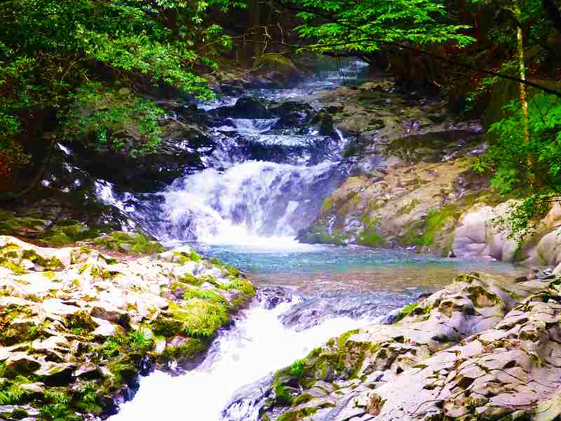 f0182513_22512270.jpg