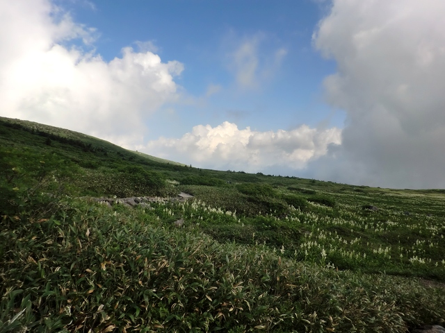 a0256418_8245099.jpg