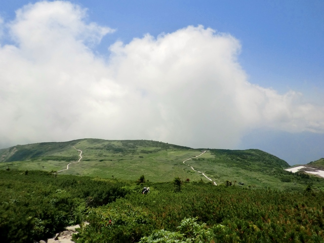 a0256418_8251550.jpg