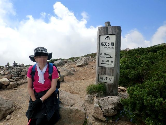 a0256418_8262392.jpg