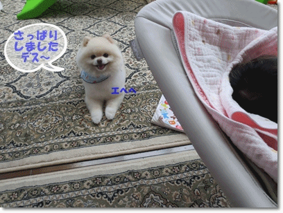 b0167519_212935.gif