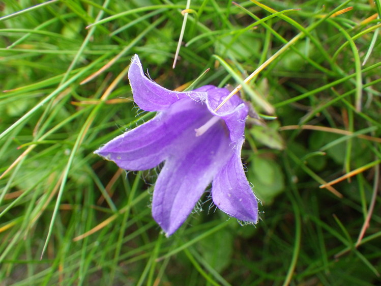 f0118332_2235820.jpg