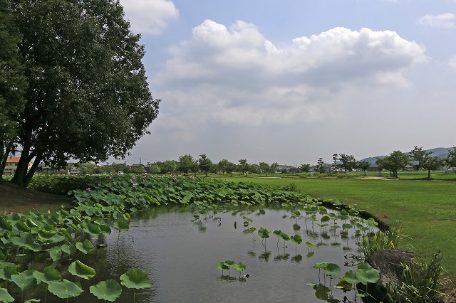 a0242438_19471661.jpg