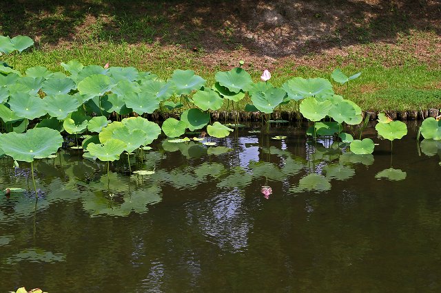 a0242438_194717.jpg