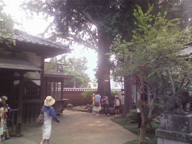 e0089438_14937.jpg