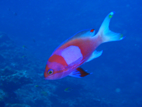 f0014842_1643281.jpg