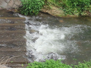 e0150849_2258473.jpg