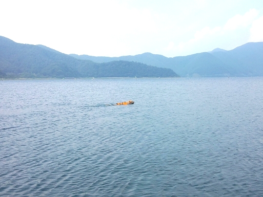 c0097558_11282585.jpg