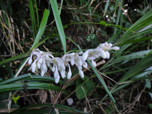 c0256558_13545998.jpg