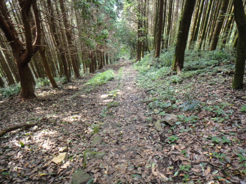 c0256558_13593847.jpg