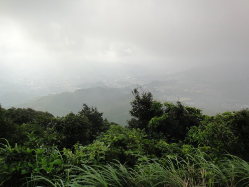 c0256558_1359516.jpg