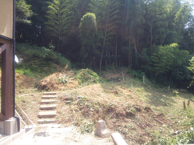 d0318660_445738.jpg