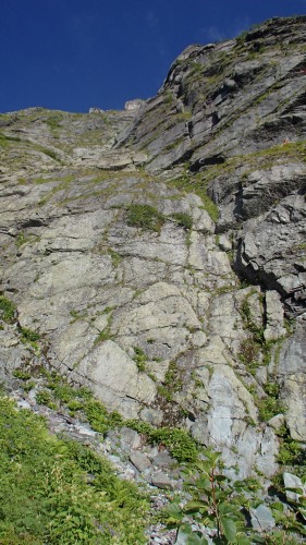 b0050067_18594155.jpg