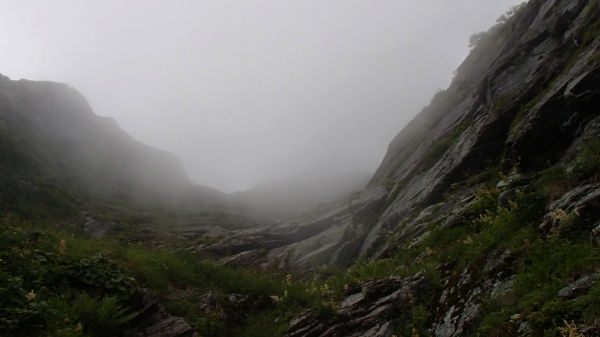 b0050067_19465767.jpg