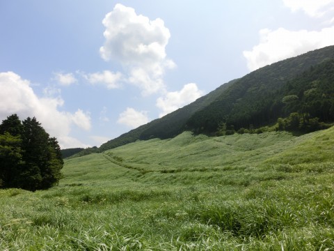 e0045768_2229087.jpg