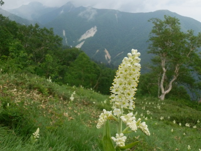 c0042869_13573790.jpg