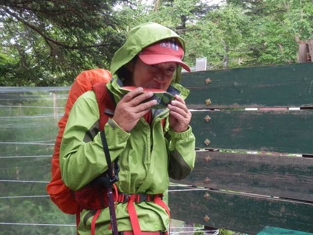 c0042869_6302323.jpg