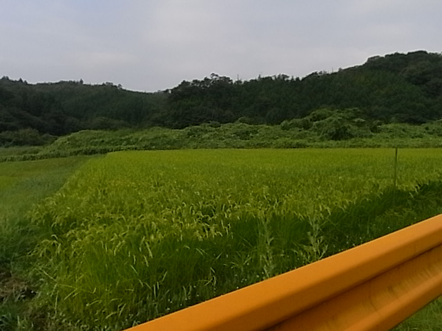 a0146070_4332618.jpg