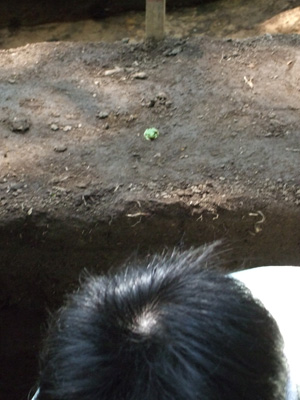c0152274_18404998.jpg
