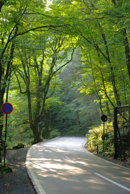 d0165378_16173830.jpg