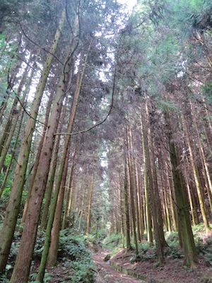 c0091380_11272725.jpg