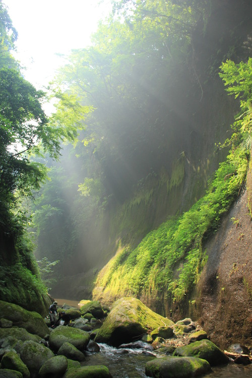 b0286982_1127322.jpg