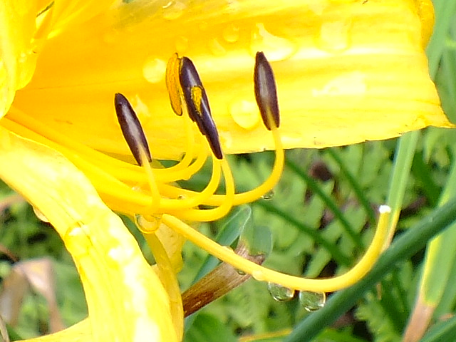 e0145782_17262077.jpg
