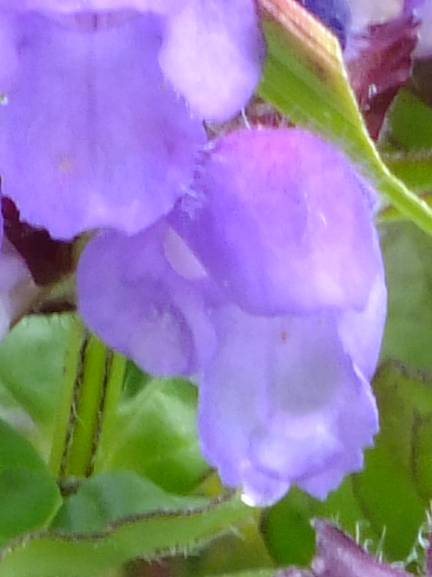 e0145782_1730512.jpg
