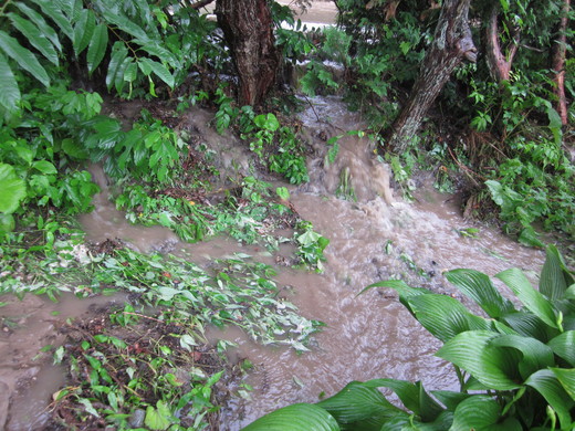 c0168584_21244258.jpg