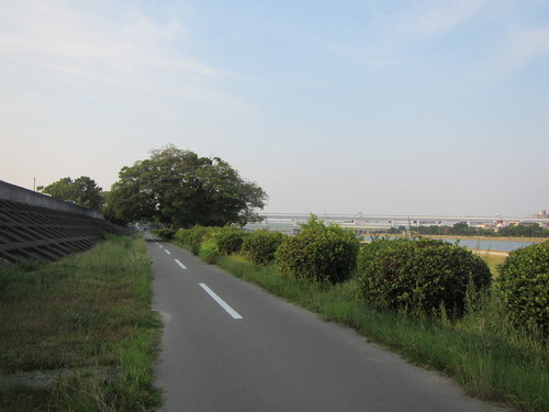 a0251786_21174119.jpg