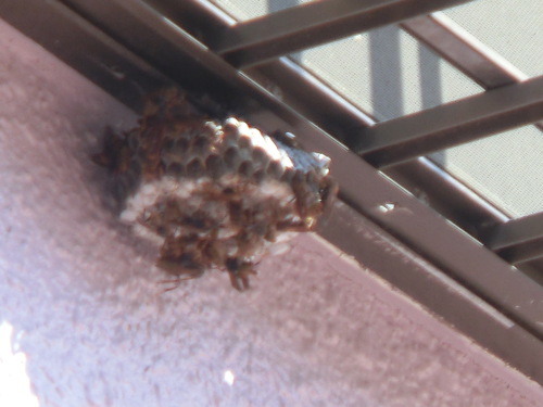 e0123587_1920563.jpg