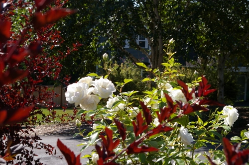 b0283192_752234.jpg