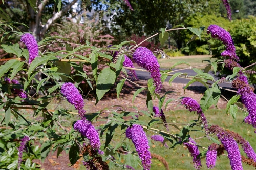 b0283192_7545262.jpg