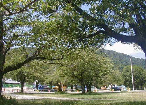 d0053294_031440.jpg