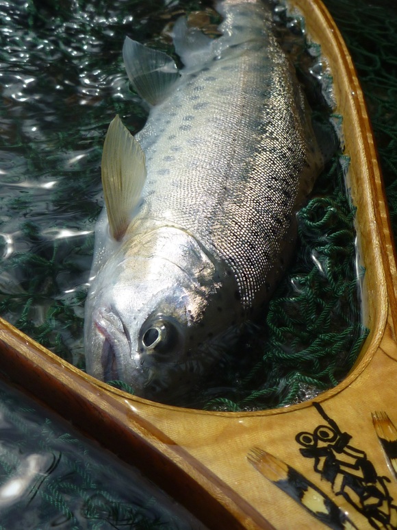 b0229003_10284359.jpg